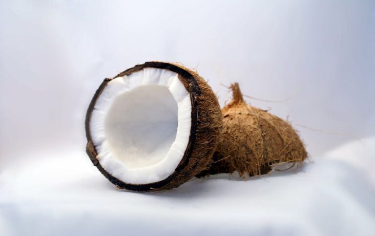 ¿Cuáles son las contraindicaciones del aceite de coco?